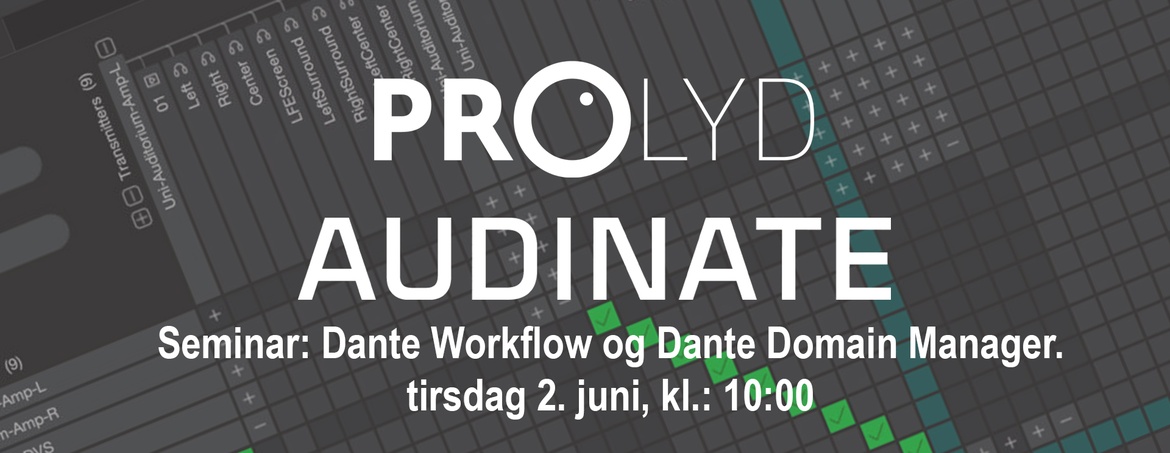Dante Workflow og Dante Domain Manager.